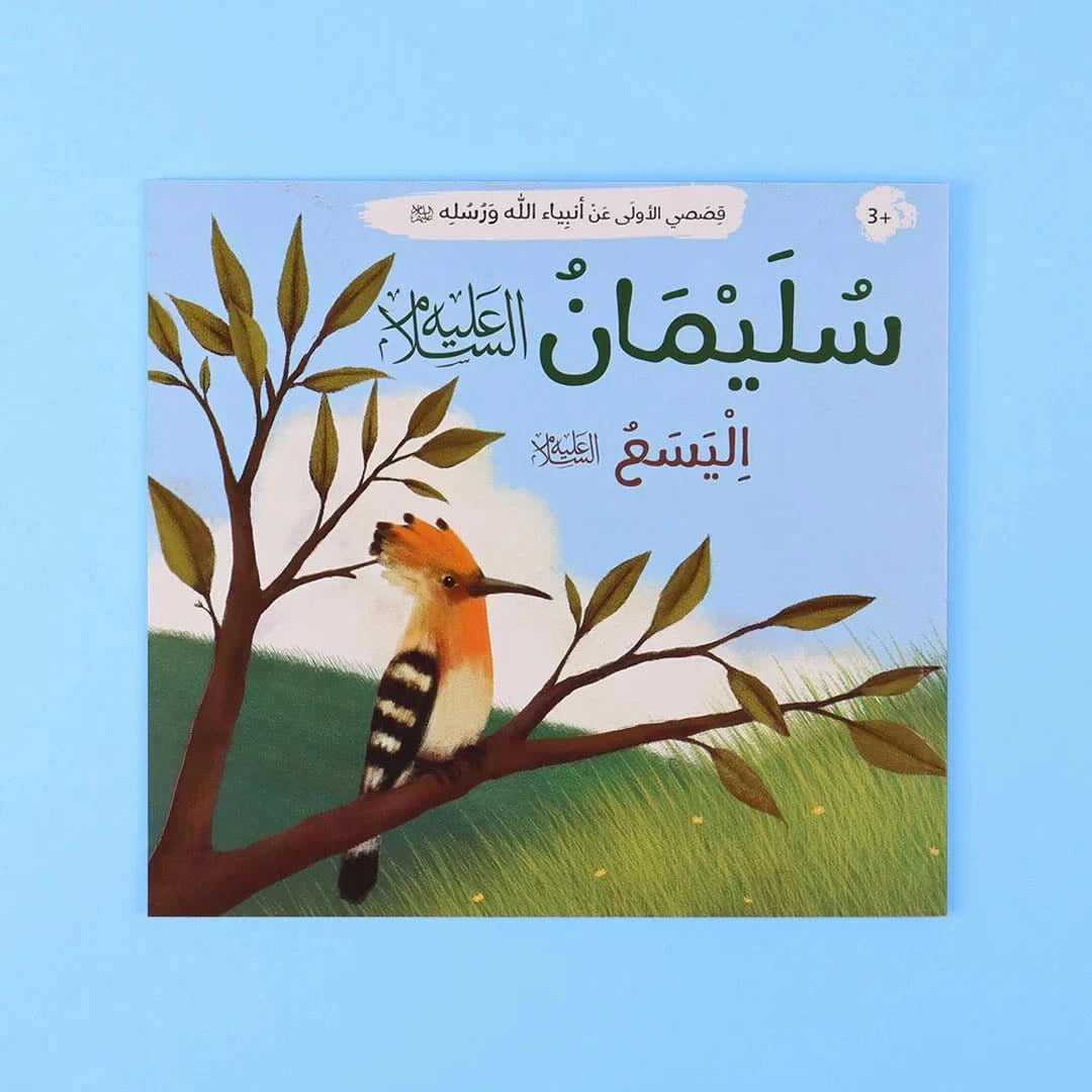 قصصي الأولى عن أنبياء الله ورسله Digital Future Livres Arabe 9786144951347 Librairie Musulmane Al-imen