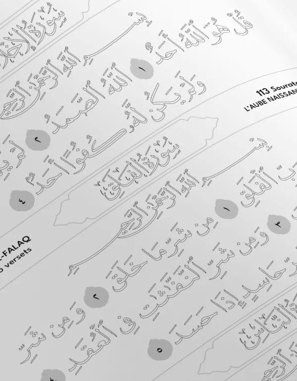 Pack : Mes sourates en couleurs Garçon et Fille (2 livres) DeeniLearn Livre > Islam 9782492027031 Librairie Musulmane Al-imen